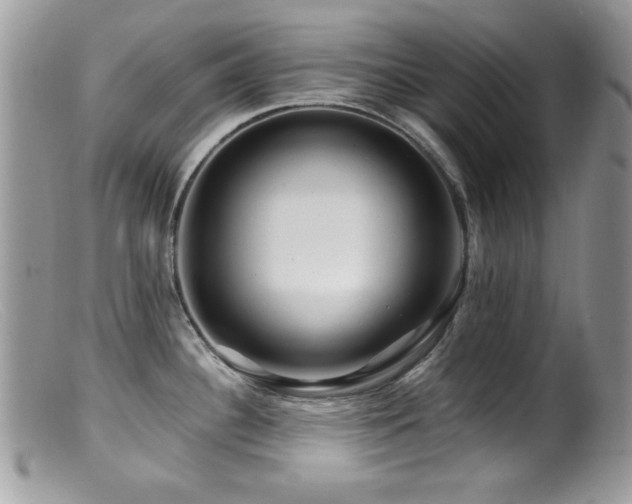 X0000099491340200805151357