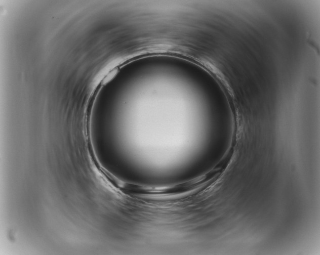 X0000099491342200805151357