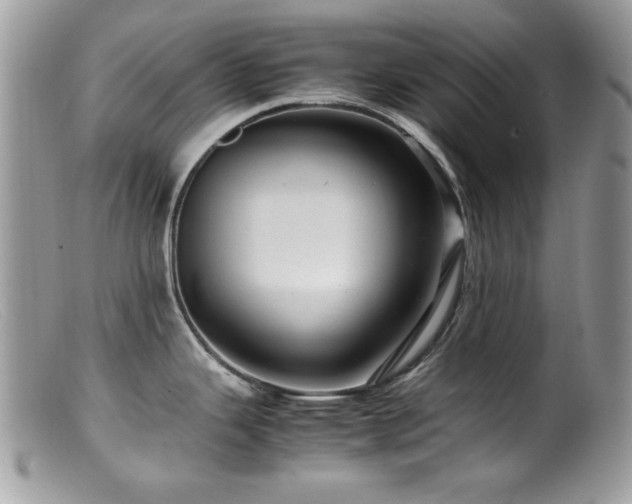 X0000099491343200805151357