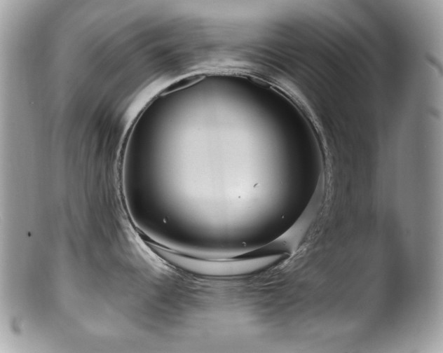 X0000099491344200805151357