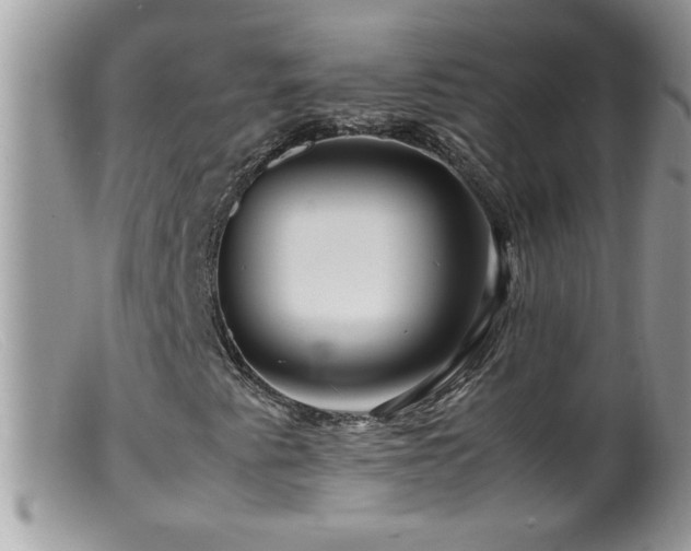 X0000099491345200805151357