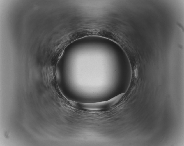 X0000099491347200805151357
