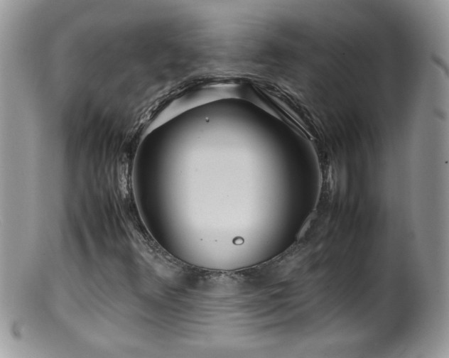 X0000099491348200805151357