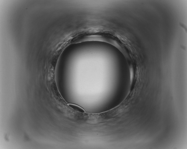 X0000099491349200805151357