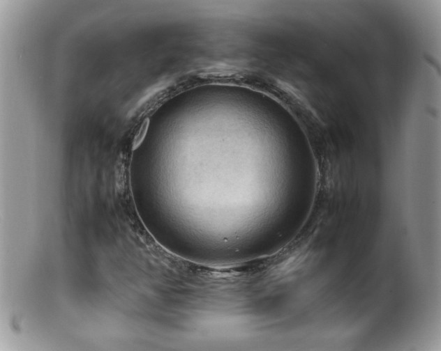 X0000099491350200805151357