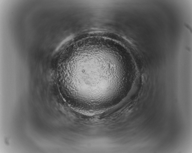 X0000099491351200805151357