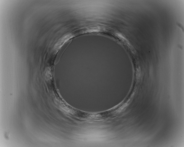 X0000099491353200805151357