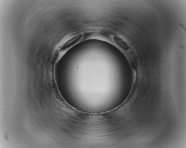 X0000099491354200805151357
