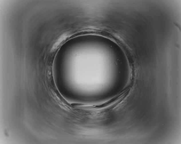 X0000099491355200805151357
