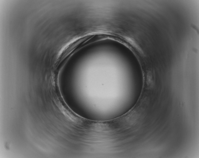 X0000099491356200805151357