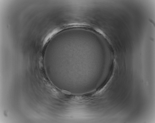 X0000099491357200805151357