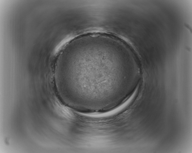 X0000099491359200805151357