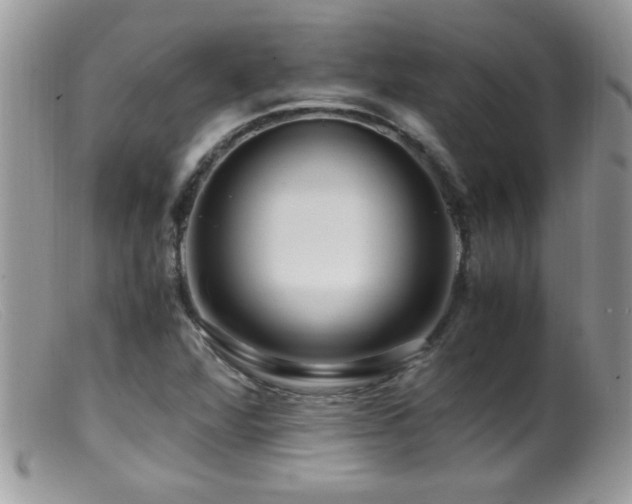 X0000099491360200805151357