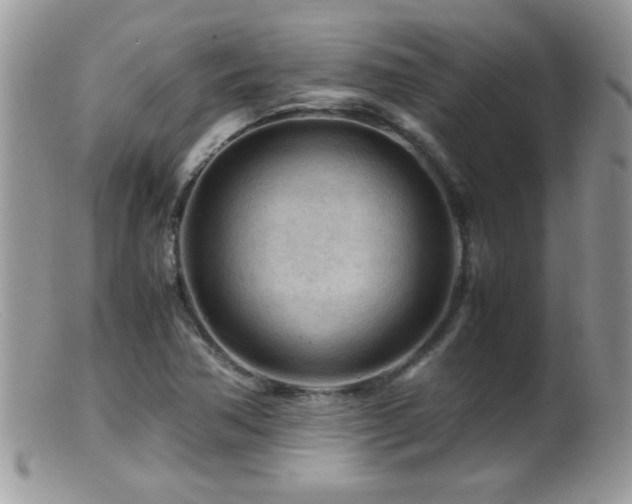 X0000099491362200805151357