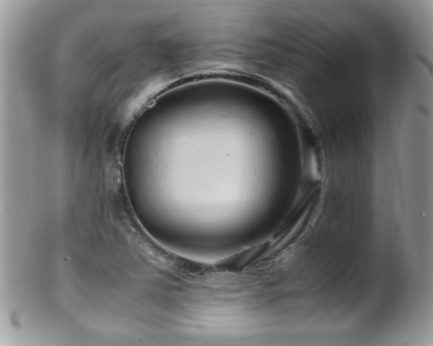 X0000099491363200805151357
