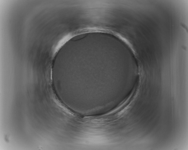 X0000099491365200805151356