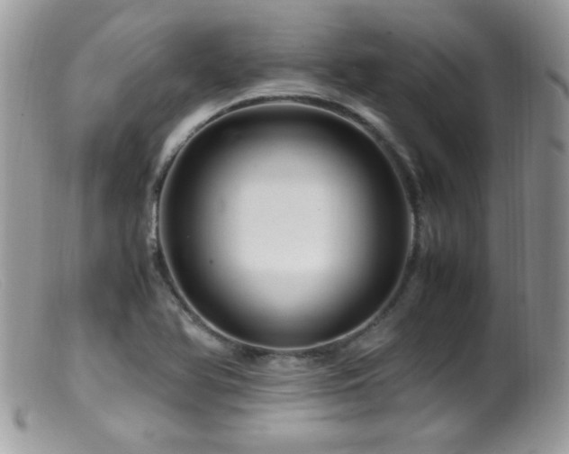 X0000099491366200805151356