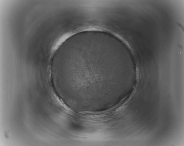 X0000099491367200805151356