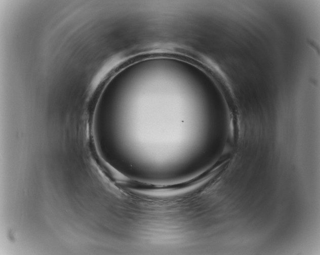 X0000099491368200805151356