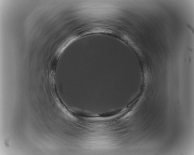 X0000099491369200805151356