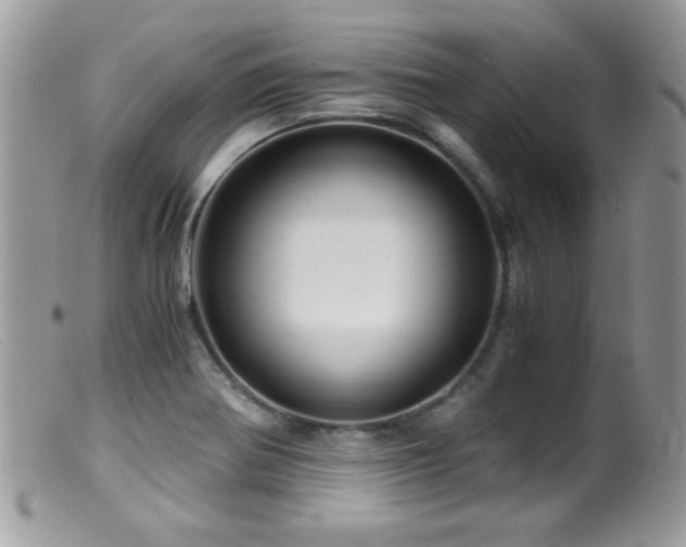X0000099491370200805151356