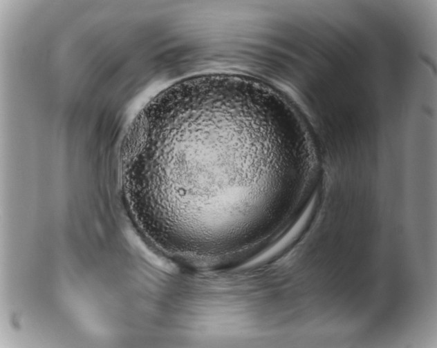 X0000099491371200805151356