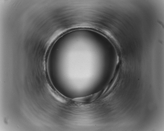 X0000099491372200805151356
