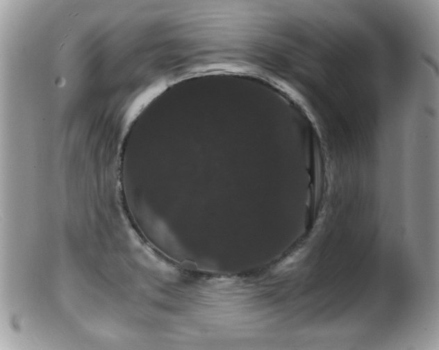 X0000099491373200805151356