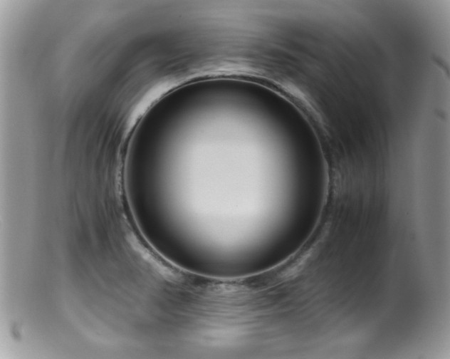 X0000099491374200805151356