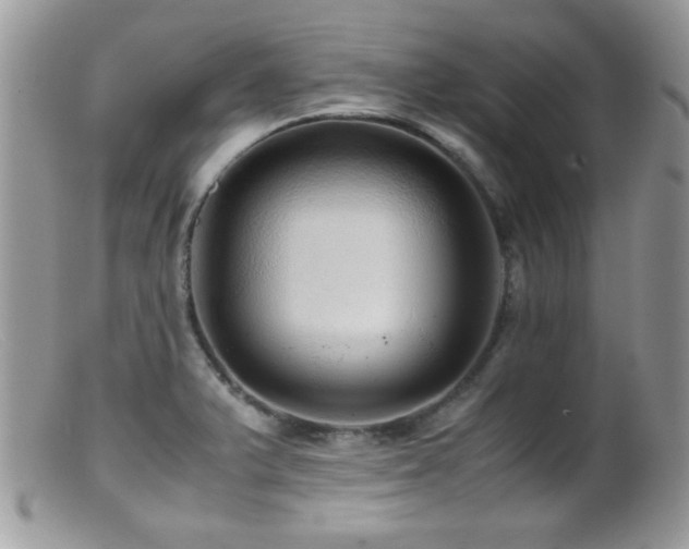 X0000099491375200805151356