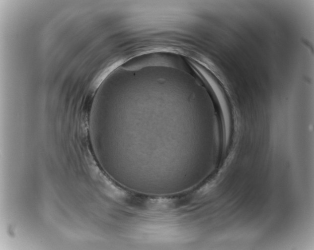 X0000099491377200805151356