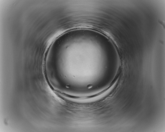 X0000099491379200805151356