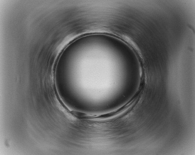 X0000099491380200805151356
