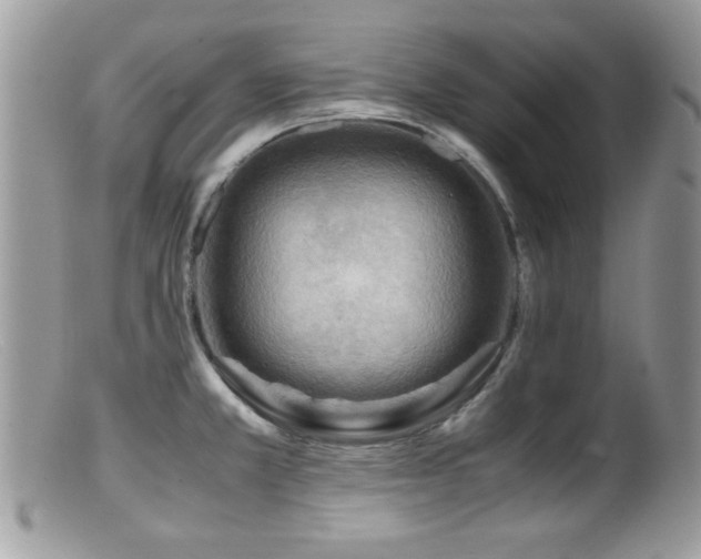 X0000099491381200805151356