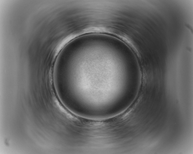 X0000099491382200805151356