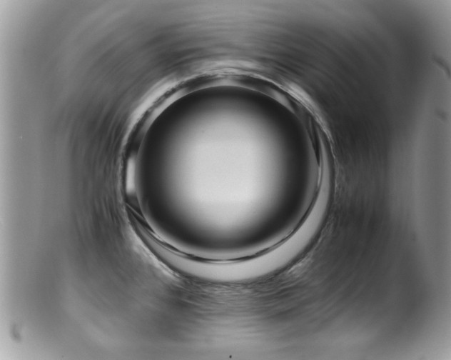 X0000099491384200805151356