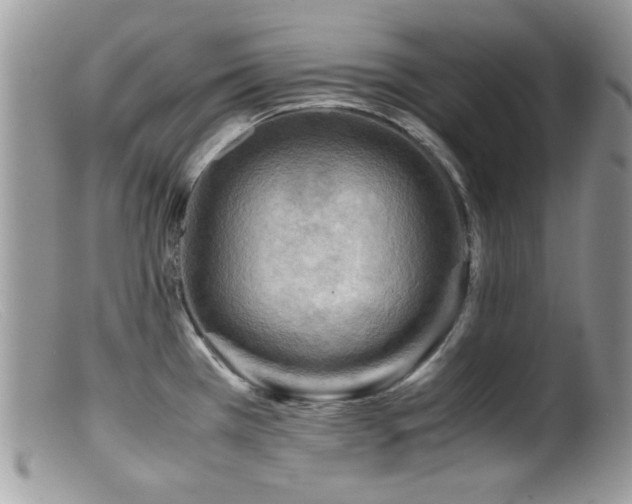 X0000099491385200805151356
