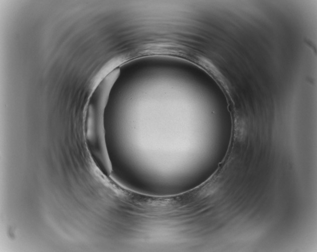 X0000099491386200805151356