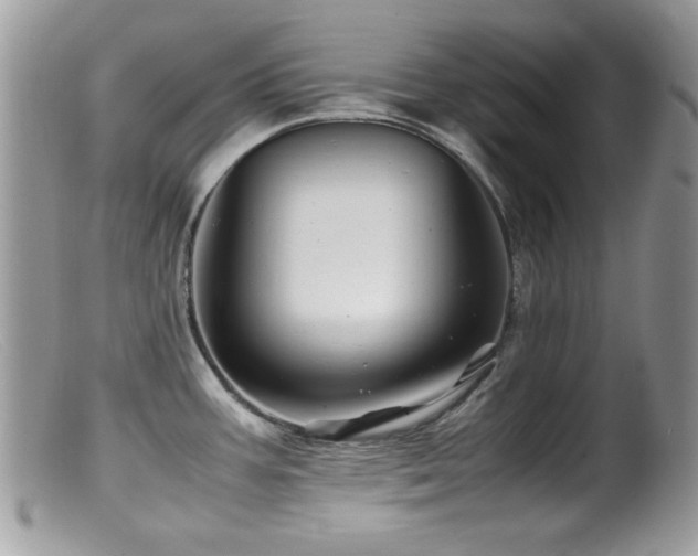 X0000099491387200805151356