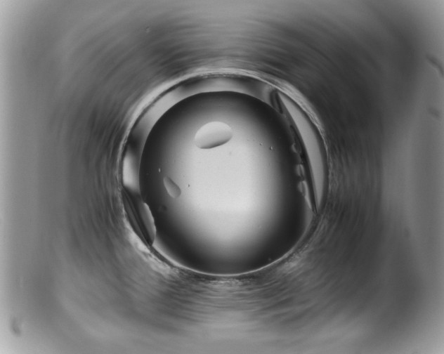 X0000099491388200805151356