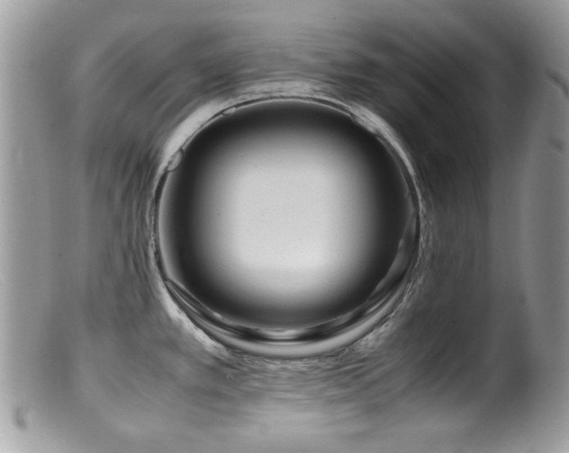 X0000099491389200805151356