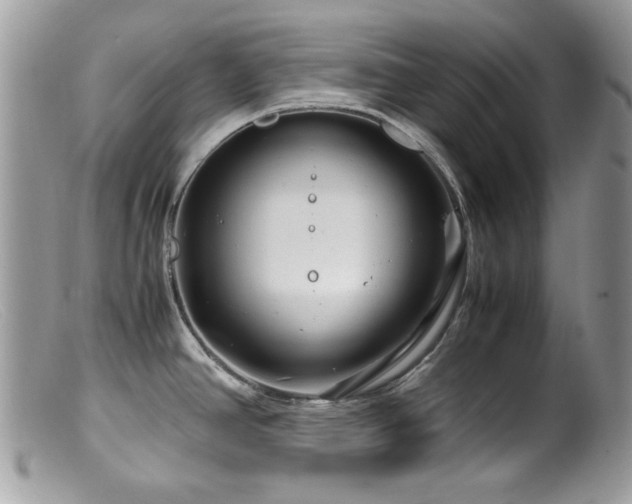 X0000099491390200805151356
