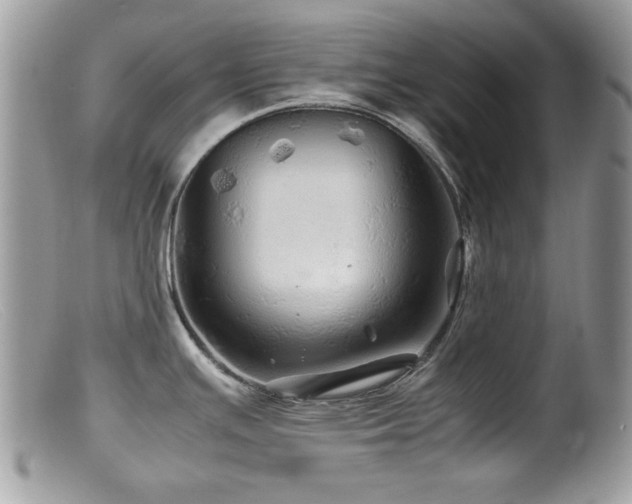 X0000099491391200805151356