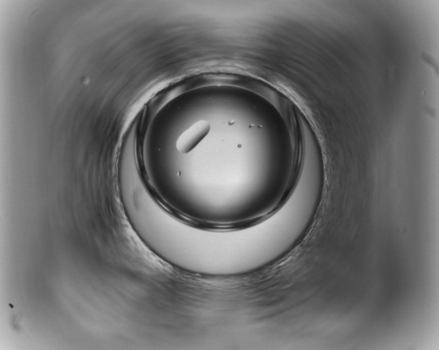X0000099491392200805151356