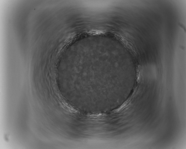 X0000099491393200805151355