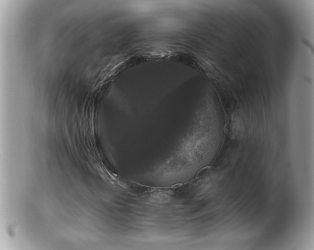 X0000099491394200805151355