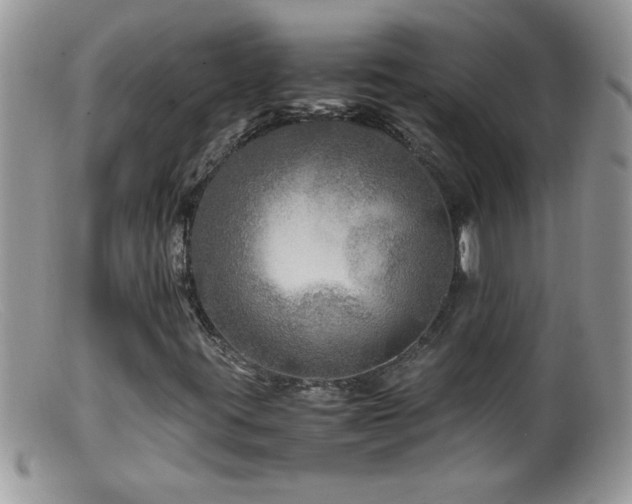 X0000099491395200805151355
