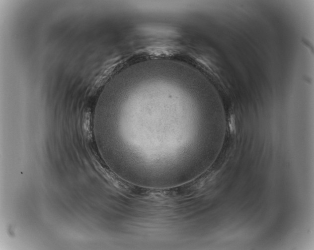 X0000099491396200805151355