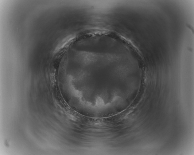 X0000099491399200805151356
