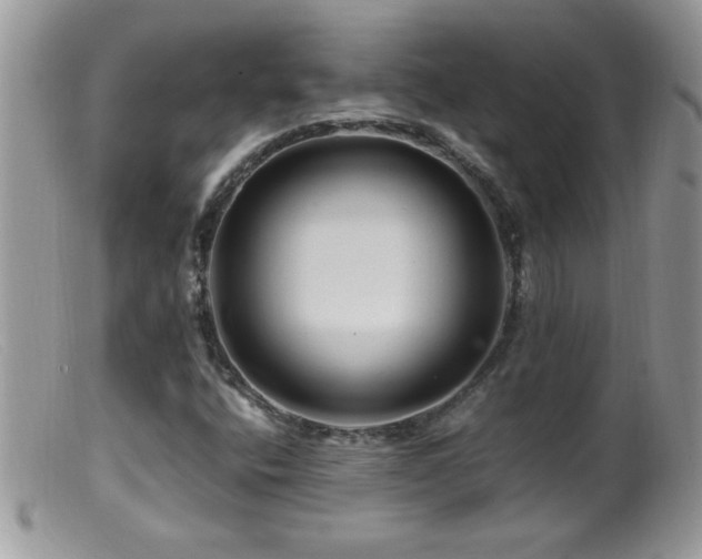 X0000099491400200805151356